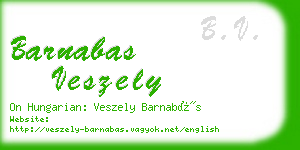 barnabas veszely business card